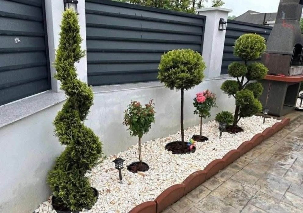 Plante Ornamentale si Gazon rulau Vand si Montez