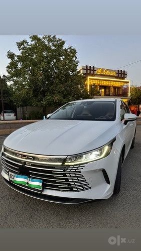 Byd chazor Flagship 120KM full pazitsa