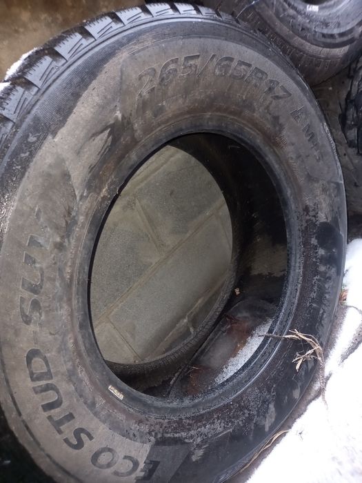 Продам шипованную резину Минерва