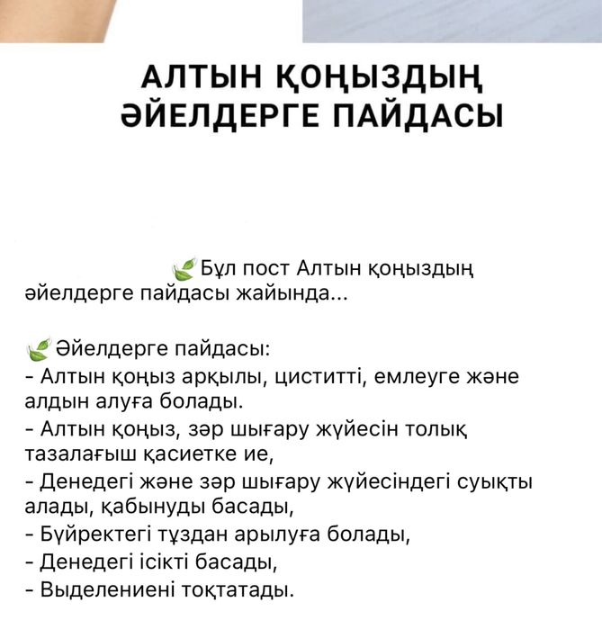 Алтын Коныз Майский жук