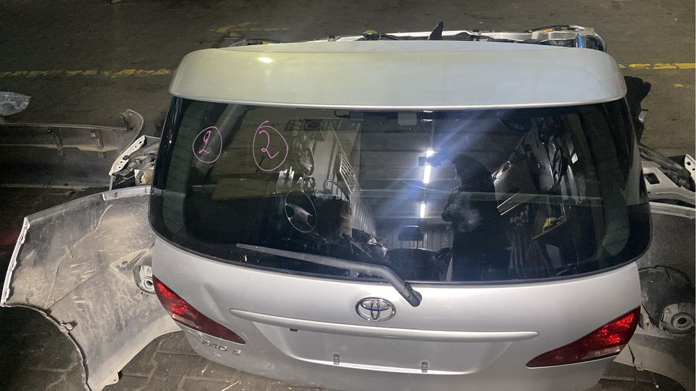 Ноускат Ипсум до рестайлинг