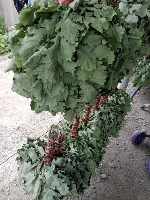 Дубовый веники..