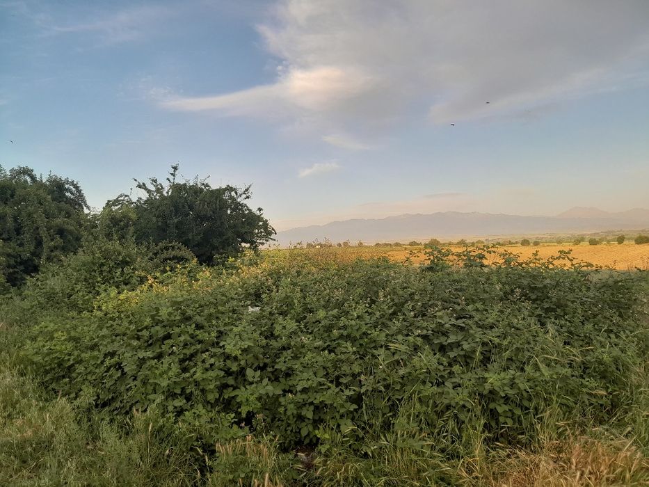 6сотх дача  Паркент