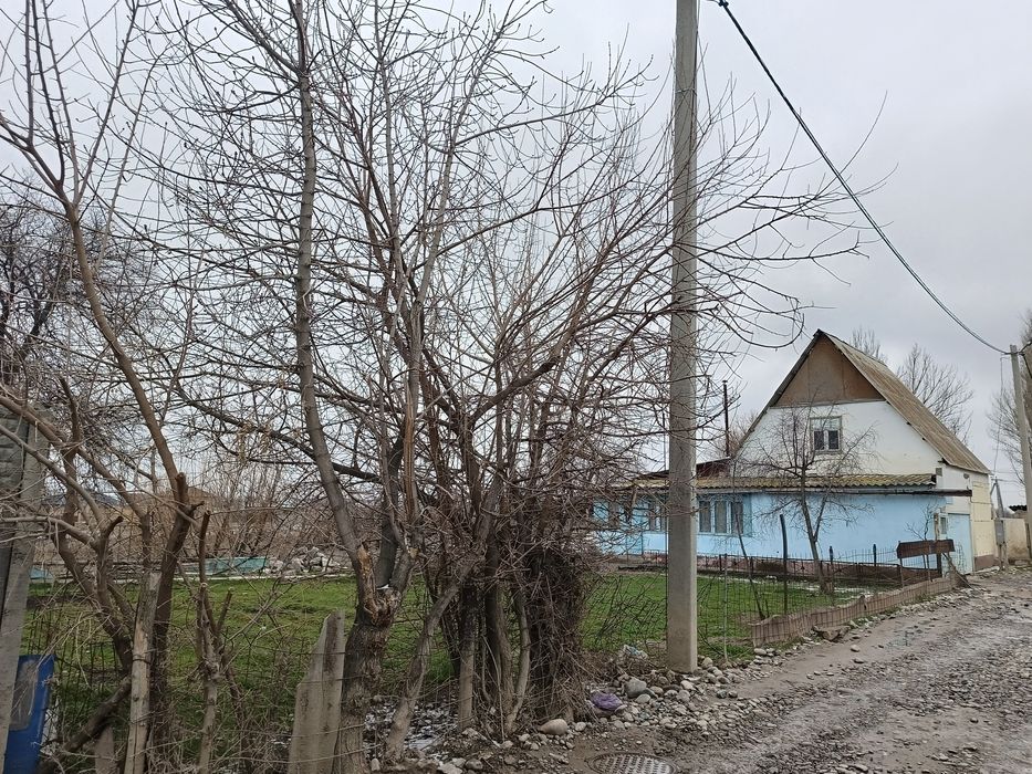 Дом с участком 12сот