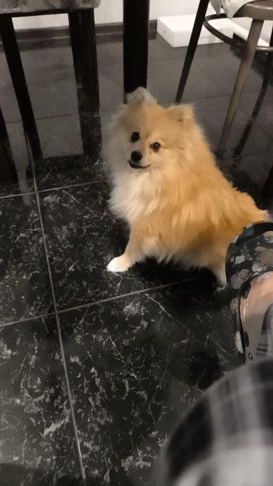 Найден шприц девочка