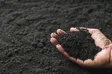 чернозем перегной зил