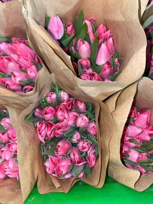 Тюлпаны  оптом оптом