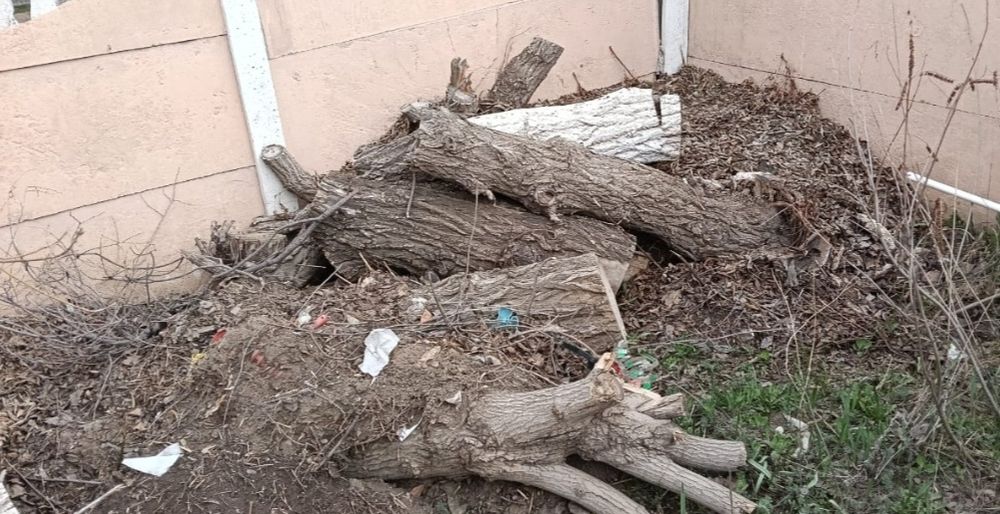 Отдам дрова самовывоз