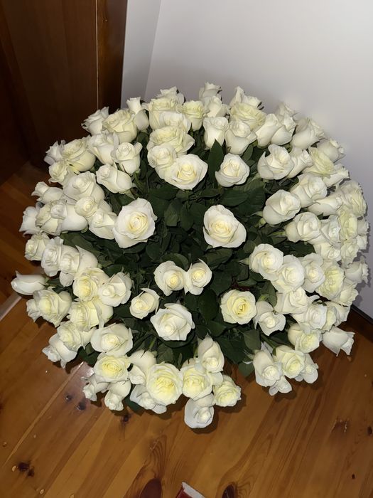 Свежие белые голлагдские розы 101
