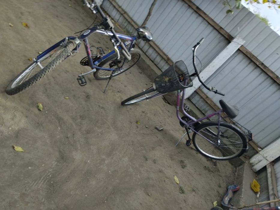 Bicicletă dama și bărbați