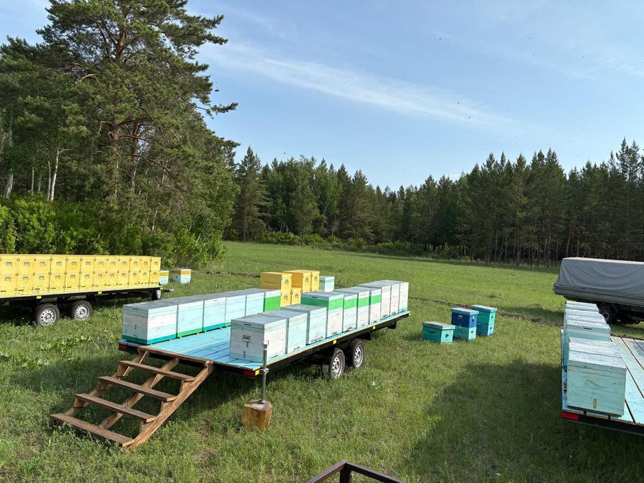 Бал. Мед. Мёд. Натуральный.