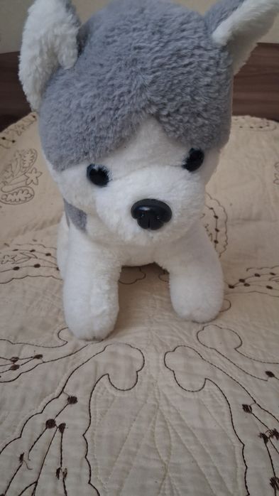 Кросовки 45  размер + игрушки и шнуры