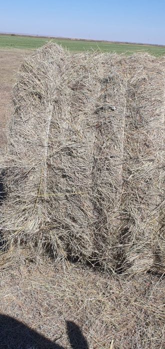 Сено отличного качества