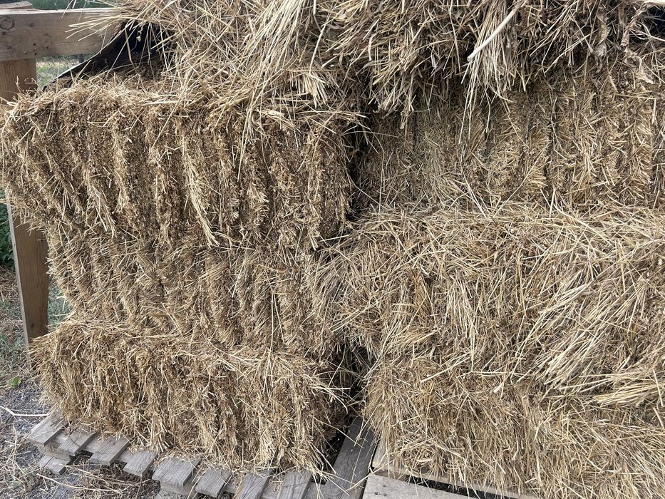 Жонышка беде шоп