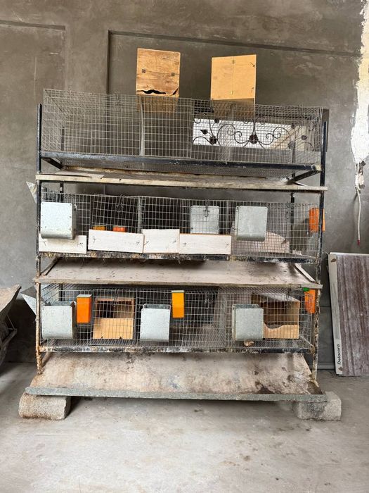 Quyonlar uchun qafas sotiladi 9 ta honasi bor Narsalar koʻp qoʻshamiz.