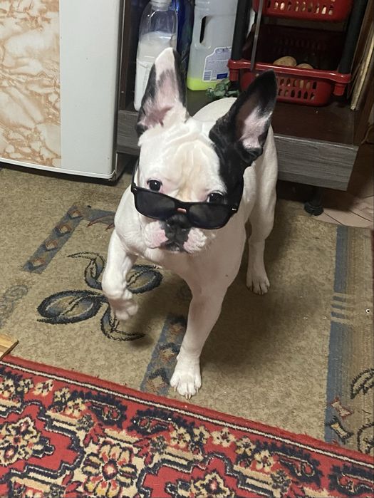 Ищем невесту