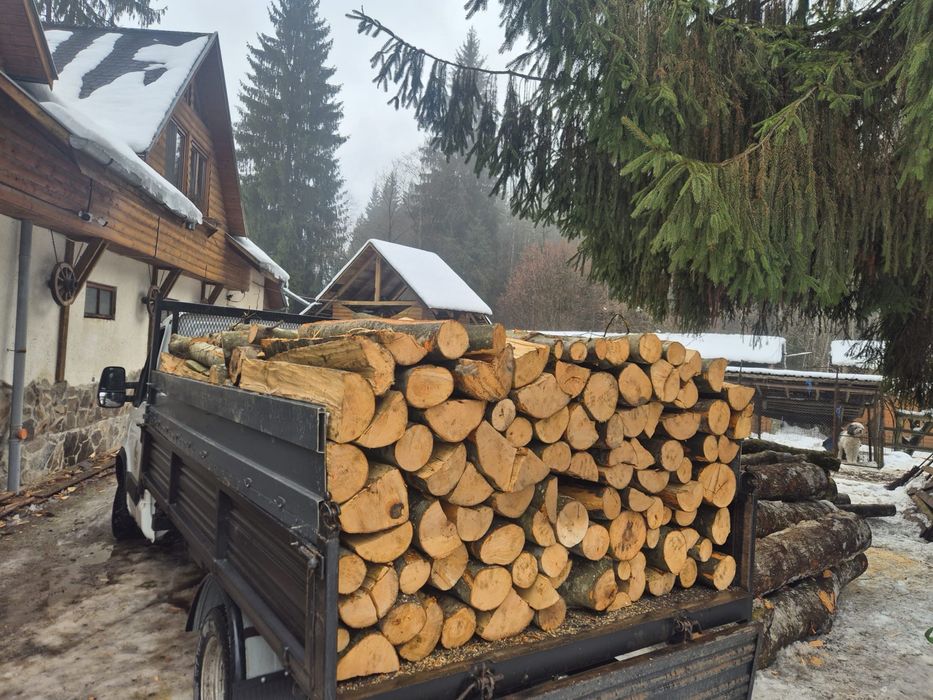 Lemn de foc estenga fag!!