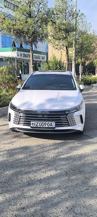 BYD chazor 120 km