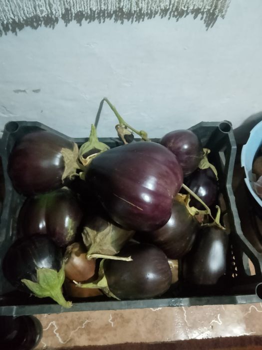 Продам всё домашнее