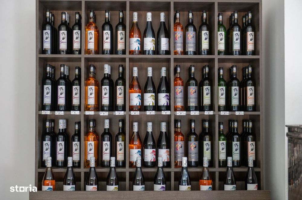 Cramă Premium De Vânzare -60 Ha- Conac Istoric- Podgoria Drăgășani