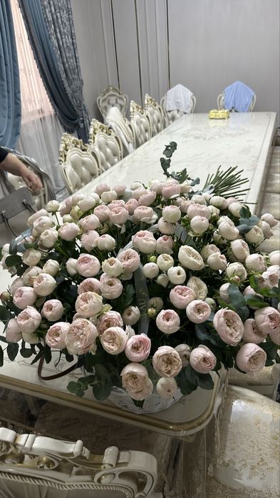 Цветы пионы 201