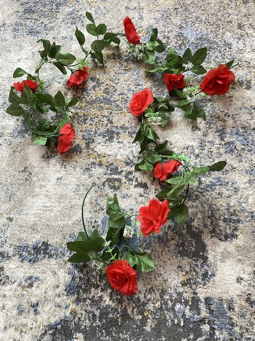 Декоративные цветы