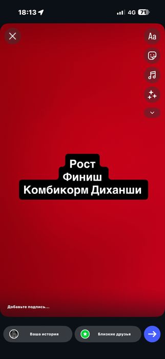 Рост финиш комбикорм Диханши 5500