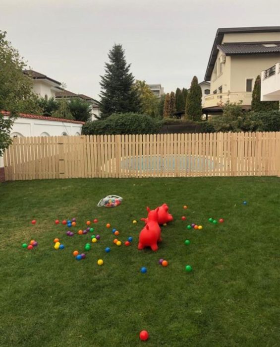 Scandura pentru gard/ curte / tambere / uluci rindeluite slefuite