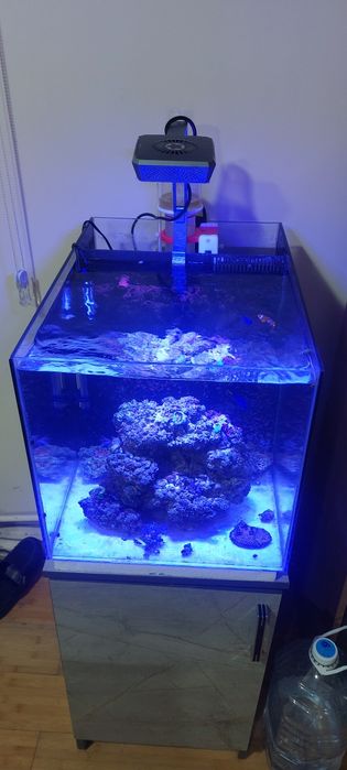 Морской аквариум