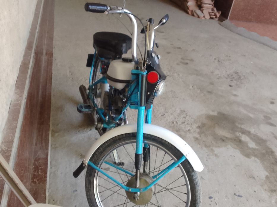 Velamaped 1990hrididiid