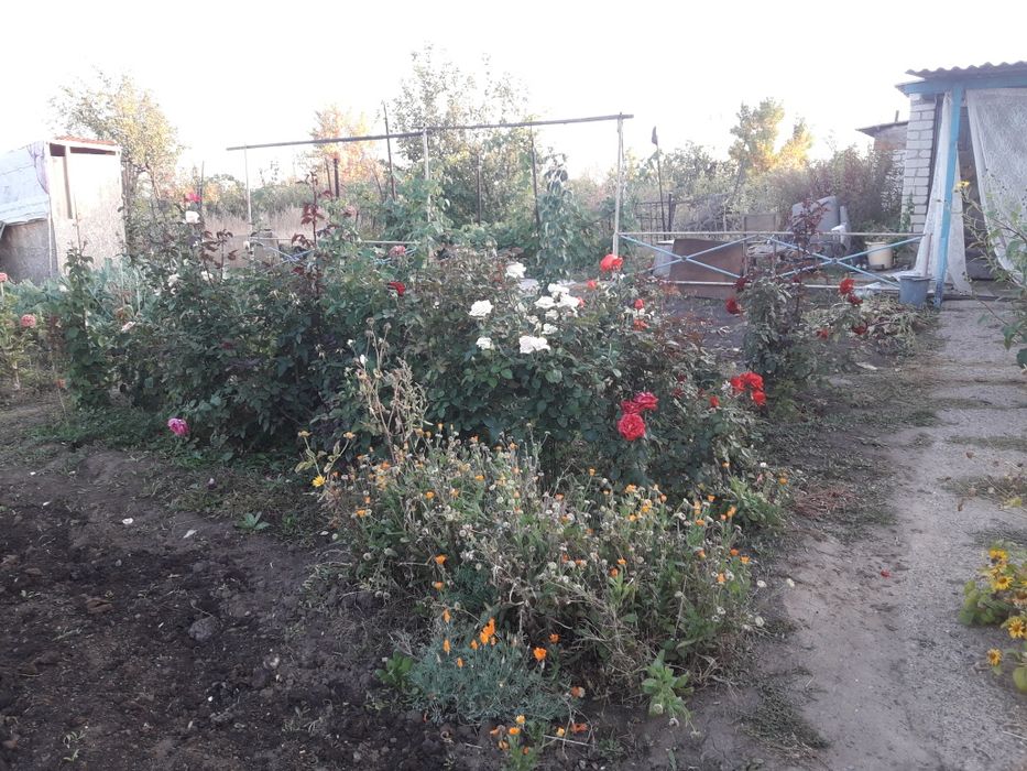 Срочно!Продам дачу