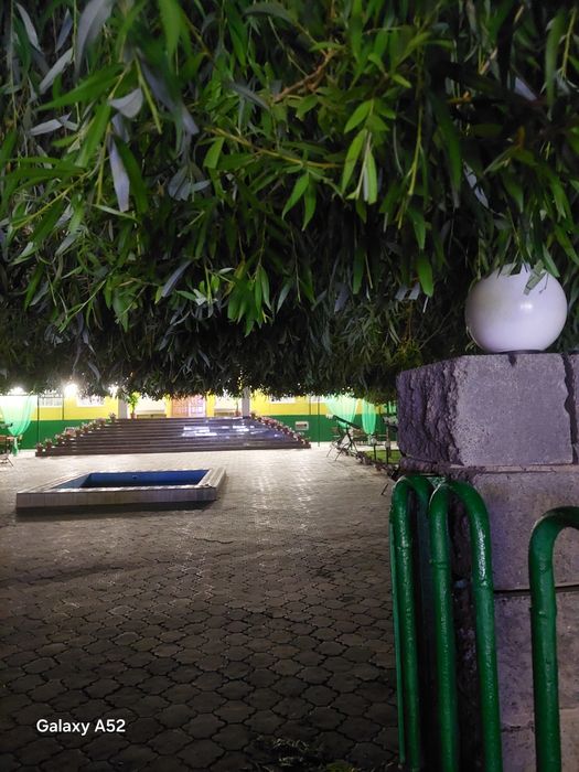 Все виды, обрезки   Ваших деревьев.