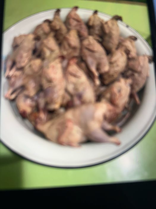 Подпишись на этот номер???