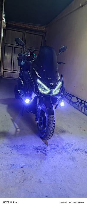 Moto tiger xolati yangi