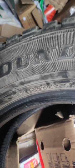 Шины зима данлоп