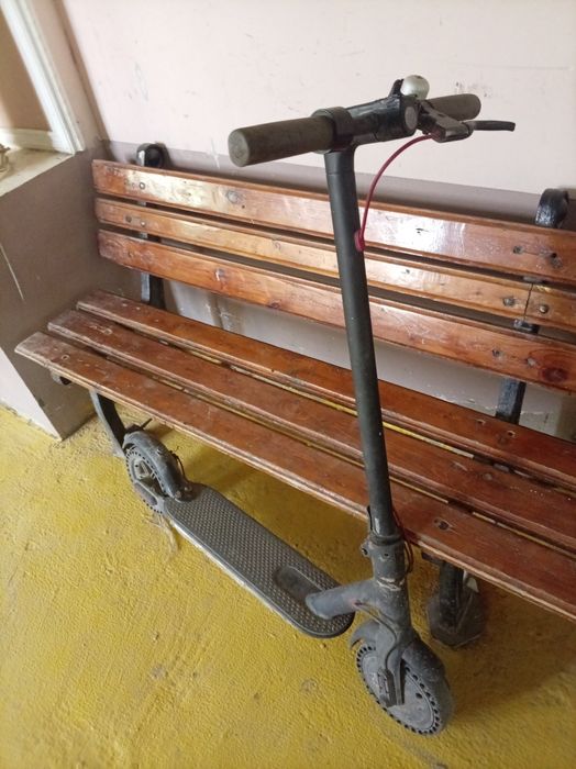 Elektra samakat bu