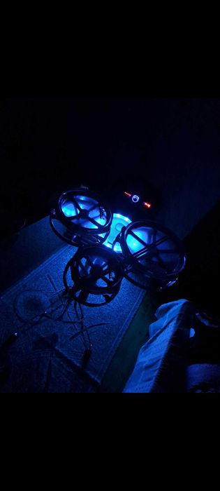 Рототоми запазени