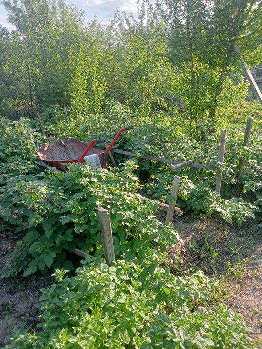 Продам дачу в П МК 52   Дом де комнаты и коридор