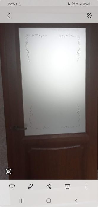 Дверь натуральный шпон