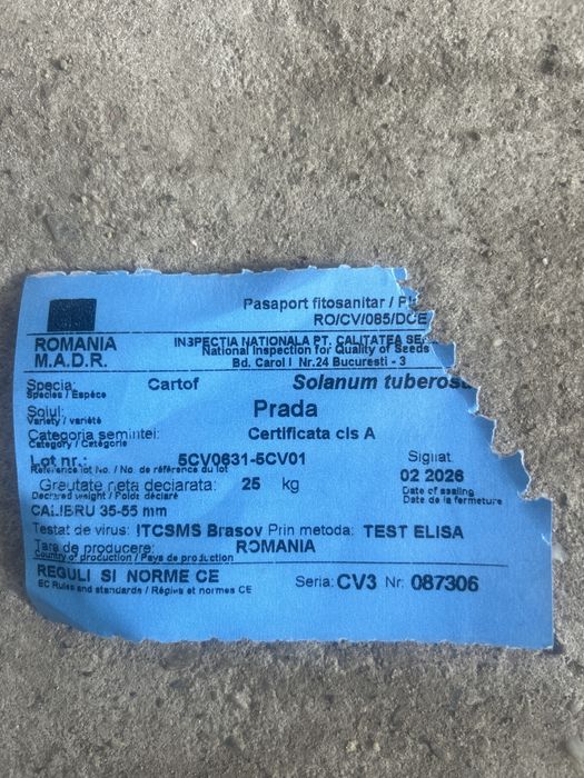 Vand Cartofi Samnata Certificati