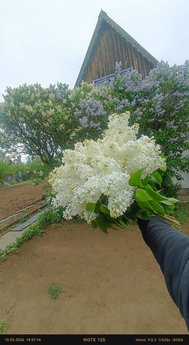 Продам Дача ПК ГОРНЯК