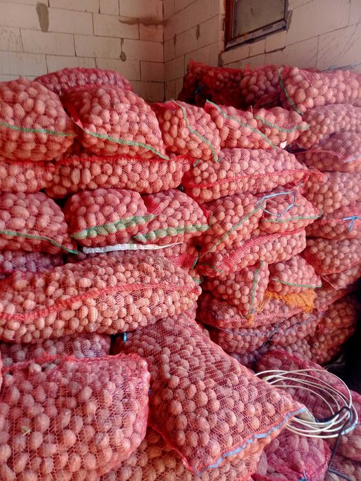 Cartof  rosu  si alb de vinzare