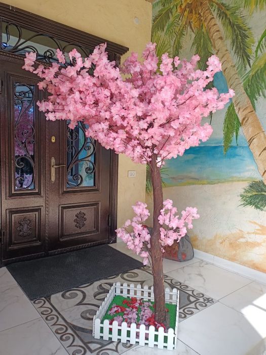 Сакура ағашы екі түсі бар 40мың