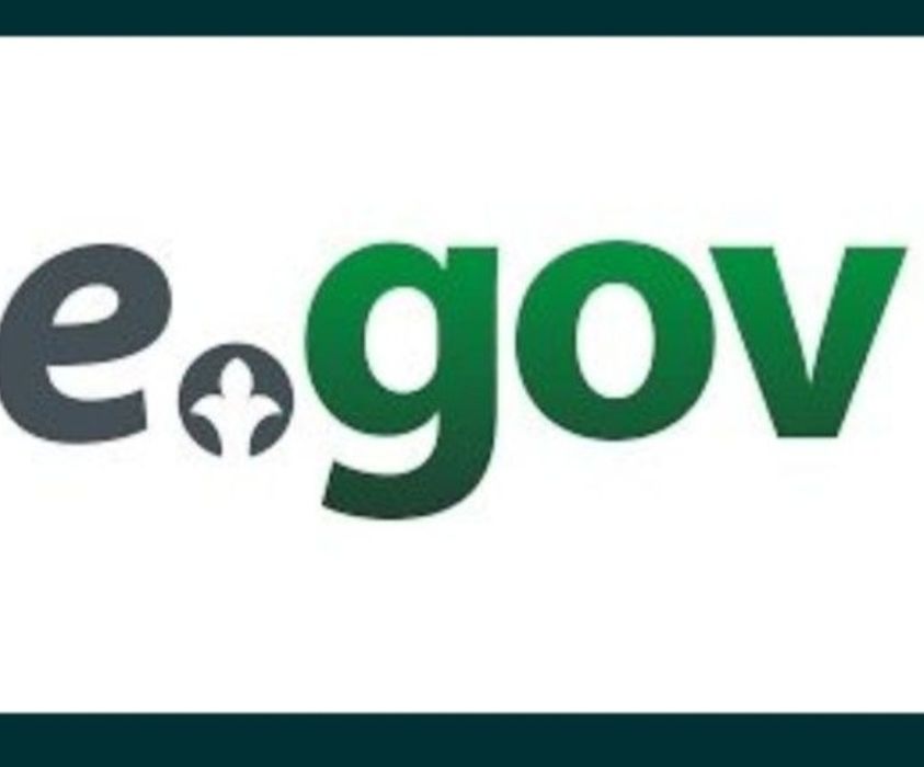 ЕГОВ қызметтерінің барлық түрлері
