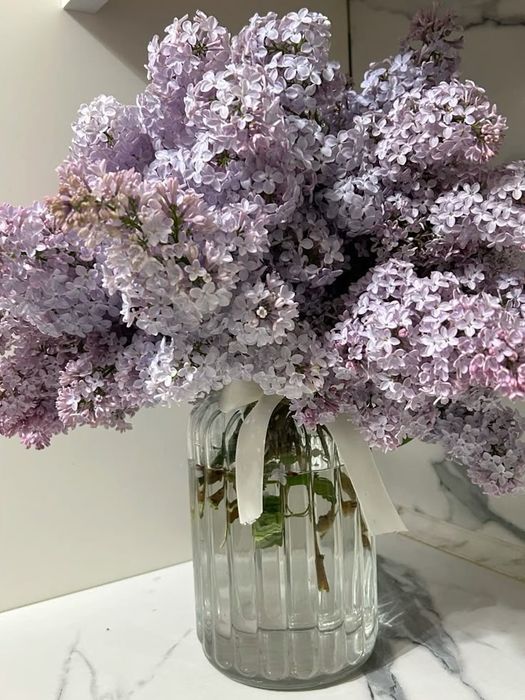 Сирень, свежая, букет