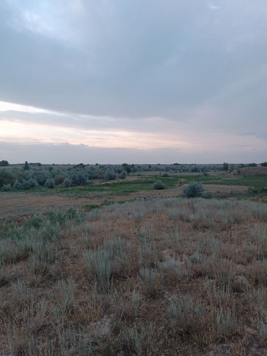 Сдам в аренду земельный участок под КХ