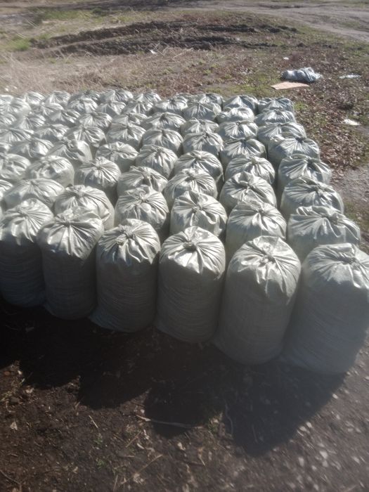 Продам перегной (конский, КРС)