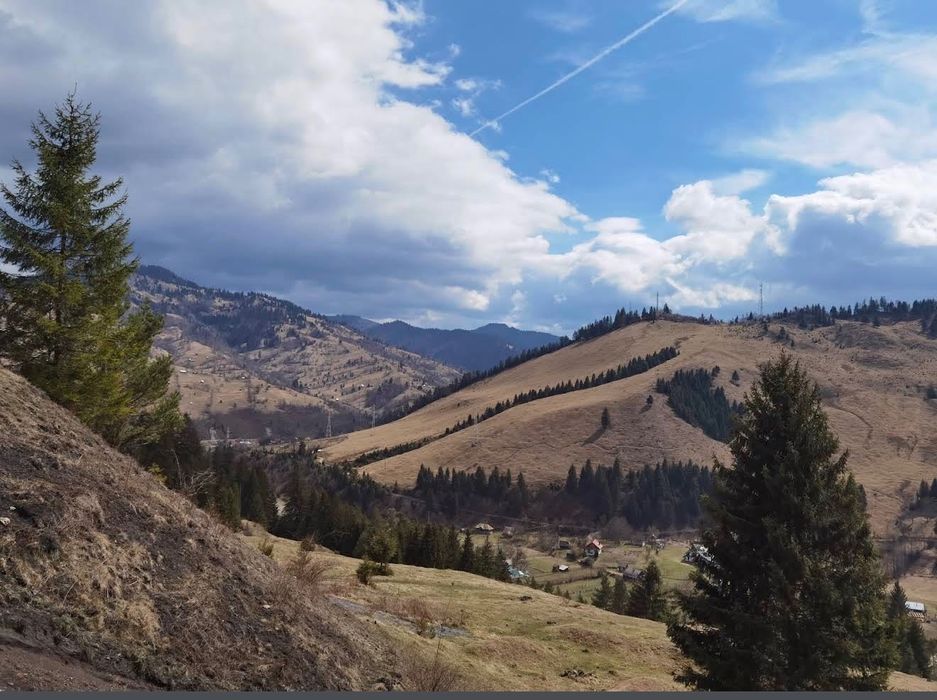 Teren la munte, Brosteni, Suceava