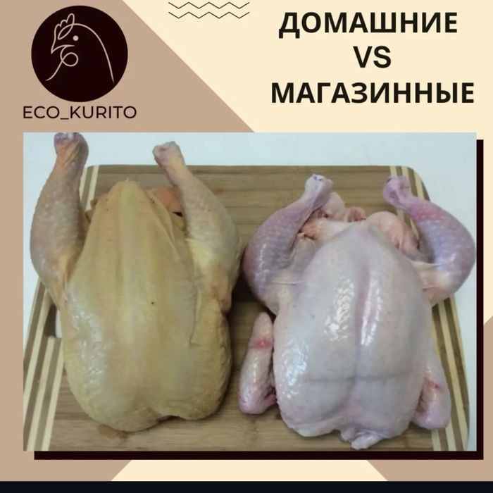 Деревенский бройлер. Мясо курицы