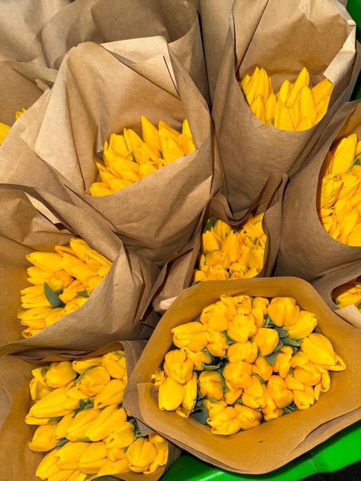 Тюльпаны самые лучшие